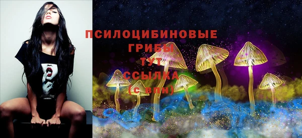 кокаин Богданович